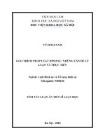 Giải thích pháp luật hình sự những vấn đề lý luận và thực tiễn tt