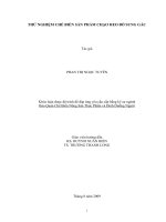 THỬ NGHIỆM CHẾ BIẾN SẢN PHẨM CHẠO HEO BỔ SUNG GẤC