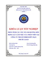 Phân tích các yếu tố ảnh hưởng đến động lực làm việc của nhân viên tại công ty trách nhiệm hữu hạn phước loan 