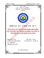 Phân tích các nhân tố ảnh hưởng đến động lực làm việc của người lao động tại công ty cổ phần may xuất khẩu ngọc châu 