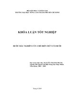 BƯỚC ĐẦU NGHIÊN CỨU CHẾ BIẾN MỨT CÙI BƯỞI