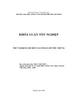 THỬ NGHIỆM CHẾ BIẾN SẢN PHẨM GIÒ THỦTRỨNG Họ và tên sinh viên: TRẦN THỊ THÚY Ngành: BẢO QUẢN VÀ CHẾ BIẾN NÔNG SẢN THỰC PHẨM Niên khóa: 2005 – 2009 Tháng 8