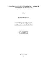 Khoá luận được đệ trình để đáp ứng yêu cầu cấp bằng Kỹ sư ngành Chế Biến và Bảo Quản Nông Sản Thực Phẩm
