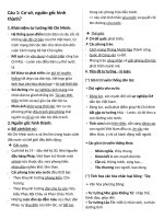 Tư tưởng HCM   đề CƯƠNG