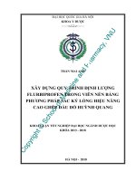 Xây dựng quy trình định lượng flurbiprofen trong viên nén bằng phương pháp sắc ký lỏng hiệu năng cao ghép đầu dò huỳnh quang