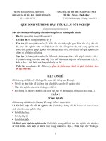 Quy dinh trinh bay tieu luan TN