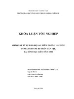 KHẢO SÁT TỶ LỆ BẢO HỘ SAU TIÊM PHÒNG VACCINE CÚM A SUBTYPE H5 TRÊN ĐÀN VỊT, TẠI TỈNH BẠC LIÊU NĂM 2008