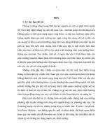 Luận văn phát triển thương hiệu báo điện tử vietnamplus và vietnamnet trên mạng xã hội facebook và youtube”