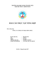 BÁO CÁO THỰC TẬP KINH TẾ QUỐC DÂN CÔNG TY CỔ PHẦN TIN HỌC HỒNG PHÚC