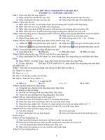 Cau hoi trac nghiem On tap Tin hoc 10  Hoc ky I