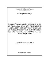 Ảnh hưởng của biến động lãi suất và tỷ giá hối đoái đến tỷ suất sinh lợi và biến động tỷ suất sinh lợi cổ phiếu nghiên cứu thực nghiệm tại các ngân hàng thương mại cổ phần việt nam 