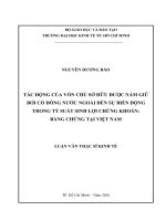 Tác động của vốn chủ sở hữu được nắm giữ bởi cổ đông nước ngoài đến sự biến động trong tỷ suất sinh lợi chứng khoán  bằng chứng tại việt nam 