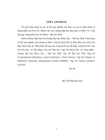 Thiết kế, sàng lọc một số dẫn xuất flavonoid và đánh giá hoạt tính gây độc lên dòng tế bào hela dựa vào các tính toán hóa lượng tử 