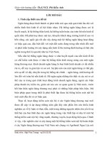 Hoàn thiện hệ thống kiểm soát nội bộ tại Ngân hàng nông nghiệp và phát triển nông thôn chi nhánh Ngọc Lặc Thanh Hóa