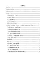 Lập kế hoạch bán hàng sản phẩm OMO trên thị trường tỉnh Bình Thuận