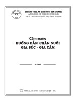 Hướng dẫn chăn nuôi gia súc gia cầm