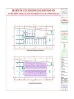 Trạm xử lý nước thải công suất 310m3ngày đêm Bản vẽ mặt bằng thể hiện hệ thống phân phối khí và giá thể vi sinh treo cố định  0903034381