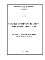 Nghiên cứu tổng hợp chấm lượng tử carbon bằng phương pháp vi sóng