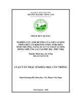 Nghiên cứu ảnh hưởng của liều lượng phân hữu cơ khoáng NTR1, NTR2 đến sinh trưởng, năng suất và chất lượng dòng chè CNS 1 41 tại phú hộ   phú thọ 