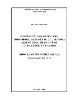 Nghiên cứu ảnh hưởng của phosphoric acid đến sự chuyển hóa một số thực phẩm thành chấm lượng tử carbon