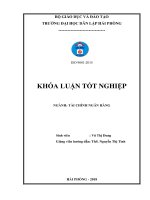 Giải pháp nâng cao chất lượng tín dụng tại ngân hàng TMCP phát triển thành phố hồ chí minh   chi nhánh hải phòng   phòng giao dịch hải đăng   
