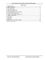 skkn  rèn nề nếp cho học sinh lớp 5 qua mô hình tự quản