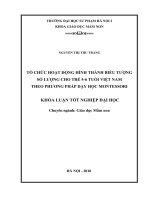 Tổ chức hoạt động hình thành biểu tượng số lượng cho trẻ mẫu giáo 5 6 tuổi việt nam theo phương pháp dạy học montessori