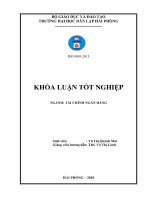 Một số giải pháp nâng cao hiệu quả huy động vốn tại ngân hàng TMCP phát triển thành phố hồ chí minh   chi nhánh hải phòng   PGD hải đăng   