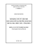 Mở rộng vốn từ cho trẻ mẫu giáo lớn tại trường mầm non trưng nhị   phúc yên   vĩnh phúc