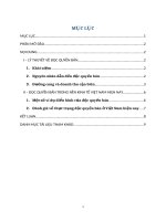 Lý thuyết về Độc quyền bán – liên hệ thực tiễn nền kinh tế Việt Nam hiện nay