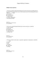 Test bank corporate finance 8e ros chap008 