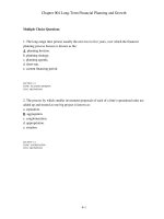 Test bank corporate finance 8e ros chap004 