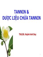 Ứng dụng của dược liệu chứa Tannin trong sản xuất dược phẩm