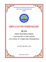 PHÂN TÍCH HOẠT ĐỘNG tạo NGUỒN và MUA HÀNG của CÔNG TY TNHH XNK VĨNH HOÀNG 