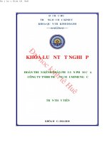 Hoàn thiện kênh phân phối sản phẩm của công ty TNHH thương mại minh ngọc 