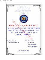 Thực trạng và giải pháp phát triển kênh phân phối sản phẩm của công ty cổ phần thương mại và đầu tư bia việt tại tỉnh thừa thiên huế 