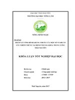 Khảo sát tình hình kháng thuốc của một số vi khuẩn gây nhiễm trùng tại bệnh viện đa khoa trung ương thái nguyên 