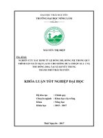 Nghiên cứu xác định tỷ lệ dòng bố, dòng mẹ trong quy trình sản xuất hạt lai cho giống dưa chuột GL1 2vụ thu đông 2016 tại xã quyết thắng   thành phố thái nguyên 