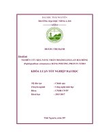 Nghiên cứu khả năng nhân nhanh loài lan hài bóng (paphiopedilum vietnamense) bằng phương pháp in vitro 