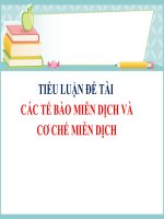 TRƯỜNG ĐẠI HỌC CÔNG NGHỆ ĐỒNG NAI