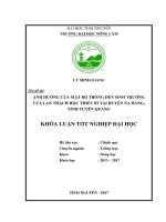 Ảnh hưởng của mật độ trồng đến sinh trưởng của lan thạch hộc thiết bì tại huyện na hang   tỉnh tuyên quang 