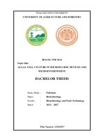 Phân lập và tuyển chọn một số chủng nấm trichoderma có hoạt tính kháng nấm từ đất trồng cây cây ăn quả và cây công nghiệp tại tỉnh thái nguyên 
