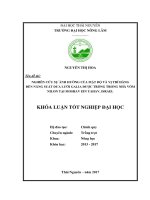 Nghiên cứu sự ảnh hưởng của mật độ và vị trí hàng đến năng suất dưa lưới galia được trồng trong nhà vòm nilon tại moshav ein yahav, israel 