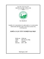 Nghiên cứu ảnh hưởng của phân bón lá, chất kích thích sinh trưởng đối với cam sành hàm yên 