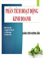 Phân tích hoạt động kinh doanh: Phân tích sự biến động của Lợi nhuận năm nay so với năm trước