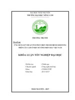 Ứng dụng kỹ thuật PCR phát hiện bệnh greening trên cây cam ở một số tỉnh miền bắc việt nam 