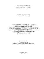 Tuyển chọn vi khuẩn lactic kháng với vi khuẩn gây bệnh hoại tử gan tụy cấp tính (vibrio parahaemolyticus) trên tôm thẻ chân trắng (penaeus vannamei) 