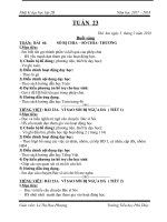 Giáo án 2c tuần 19 đến 35 ( lê thị hoa phượng )  (5) 