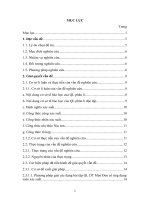 Phương pháp giải bài tập quy luật di truyền Menđen có ứng dụng toán xác suất