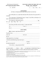 8  mẫu quyết định xử phạt vi phạm hành chính trong lĩnh vực đất đai 